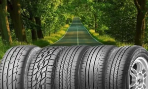 Летние шины — их характеристики и особенности подбора