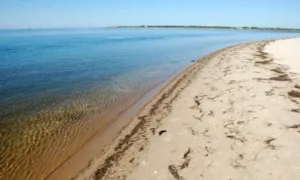 Пляжі Миколаєва
