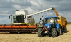 Жнива на Миколаївщині: збирання озимого ячменю