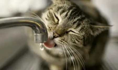 Відключення води