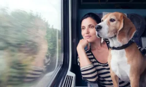 Правила перевезення тварин у поїзді