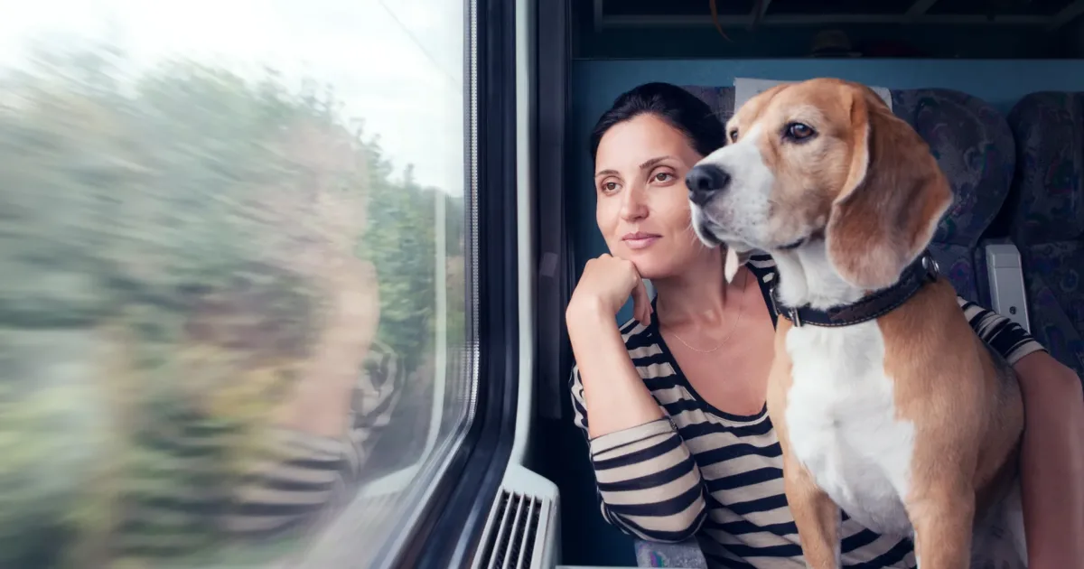 Правила перевезення тварин у поїзді