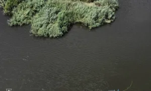 Пошукові роботи