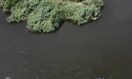 Пошукові роботи