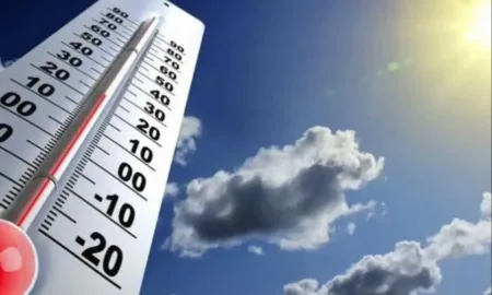 Аномальна спека у Миколаєві