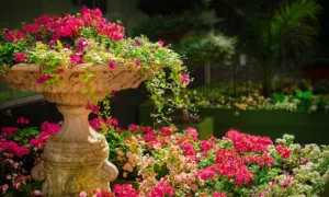 Екзотичні та декоративні рослини: як створити унікальний сад