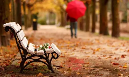 Які зміни чекають на українців у вересні 2025