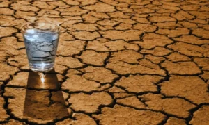 Маловоддя у водоймах