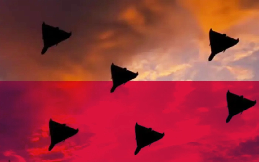 Польщу атакували шахеди