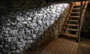 Как правильно построить подвал своими руками: гидроизоляция, вентиляция и утепление