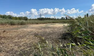 Озеро Солоне