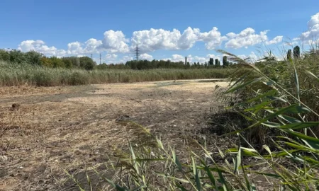 Озеро Солоне