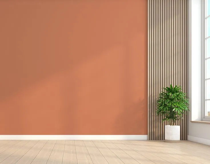 Теракотовий колір