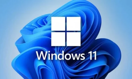 Windows 11