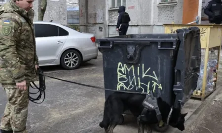 Місце знахідки