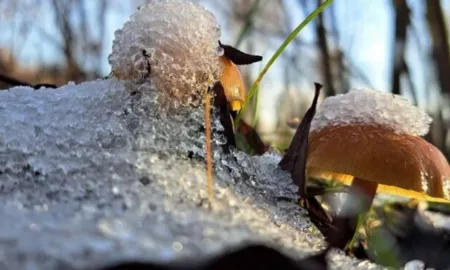 Прогноз погоди