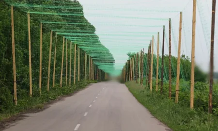 Антидронові тунелі