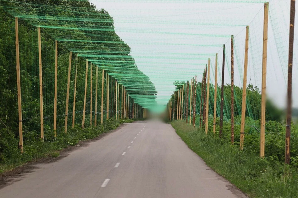 Антидронові тунелі