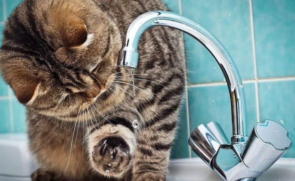 Відключення води