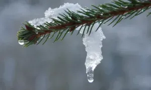 Прогноз погоди
