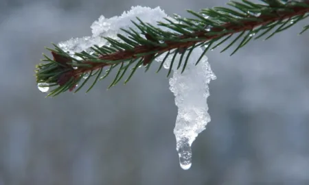 Прогноз погоди