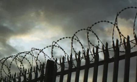 Довічне ув’язнення