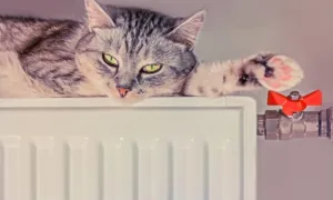 Опалювальний сезон