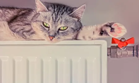 Опалювальний сезон