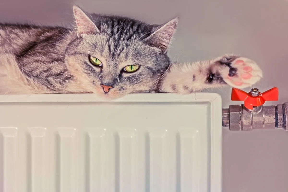 Опалювальний сезон