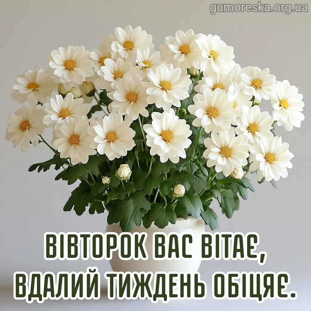 Гарного вівторка 