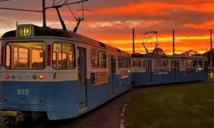 Головні події Миколаєва за тиждень: коротко про важливе