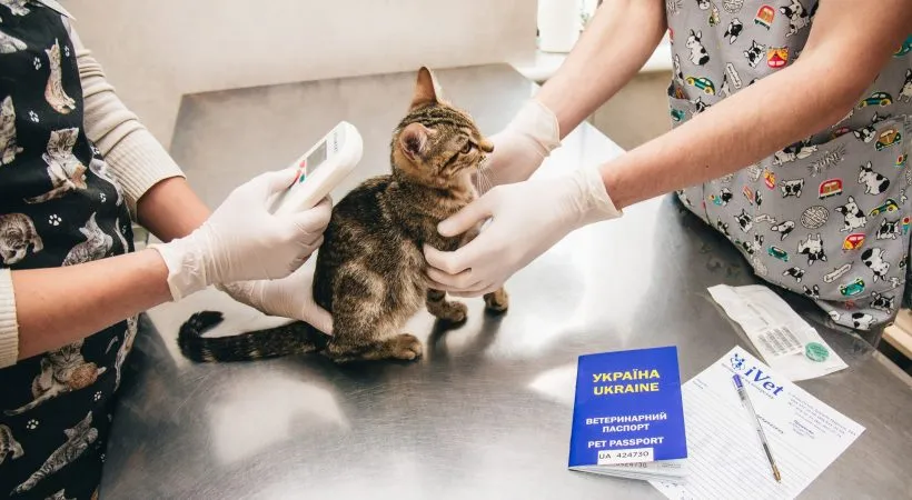 Чіпування тварин