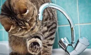 Відключення води