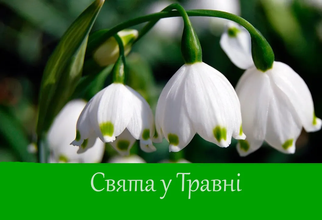 Календар свят на травень
