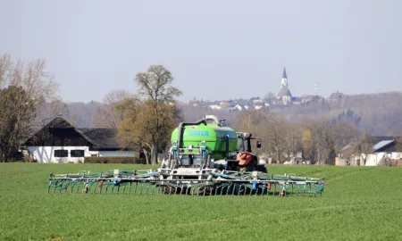 Як збалансоване живлення рослин впливає на врожайність і якість продукції