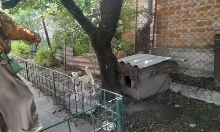 Перевірка умов утримання тварин
