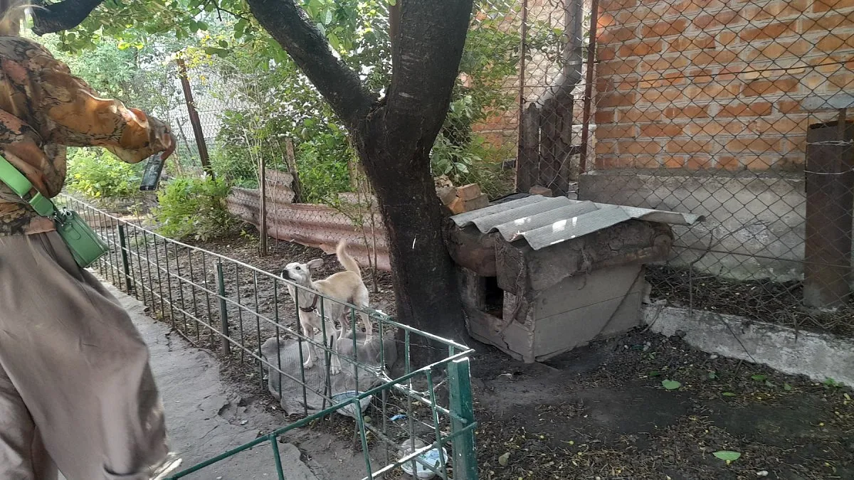 Перевірка умов утримання тварин