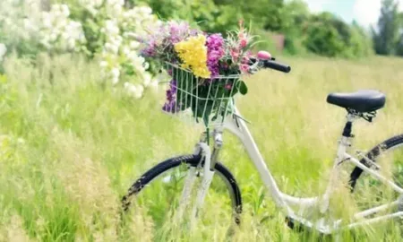 День велосипедиста