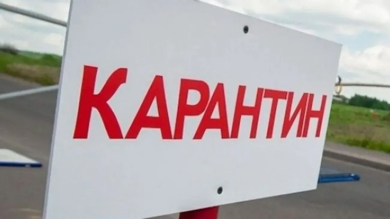 Карантин