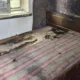 Місце події