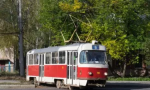 Трамваї