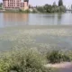 Південний Буг