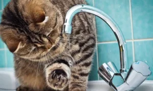 Відключення води