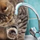 Відключення води