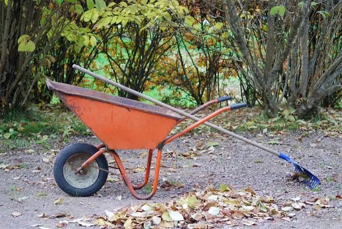 Місячний посівний календар на листопад
